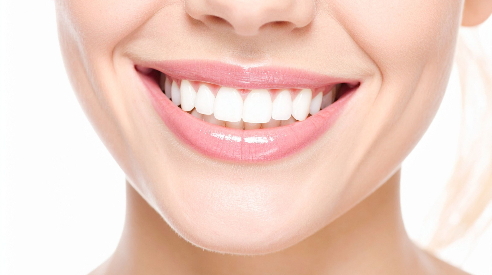 Oral Support Product